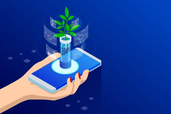 blockchain agriculture starup