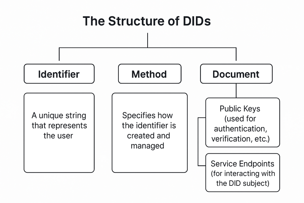 The Structure of DIDs