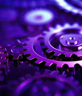 MVP Development Services