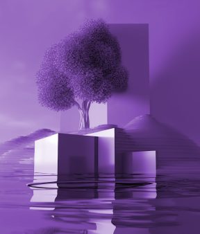 Desarrollo a medida
